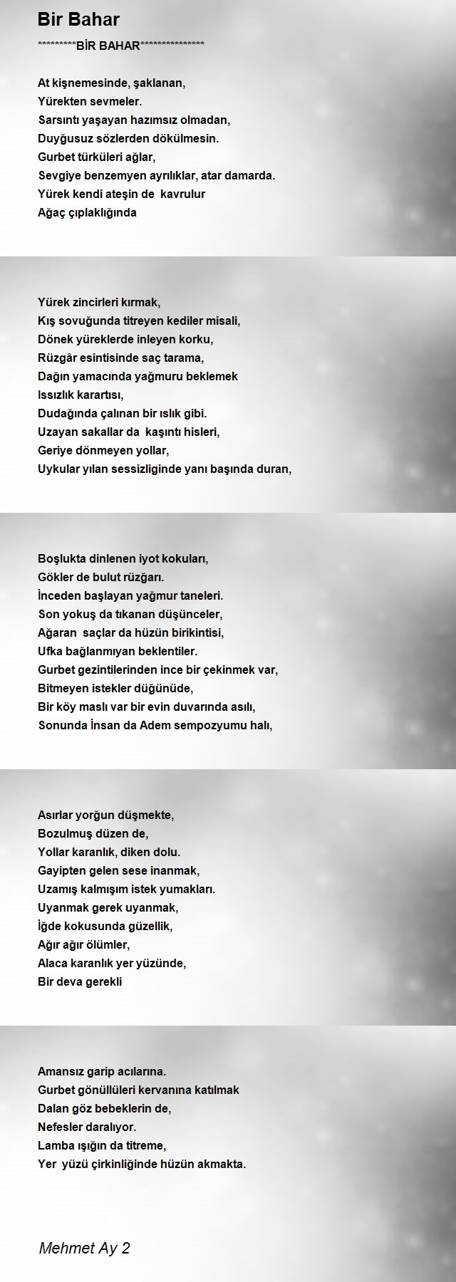 Mehmet Ay 2