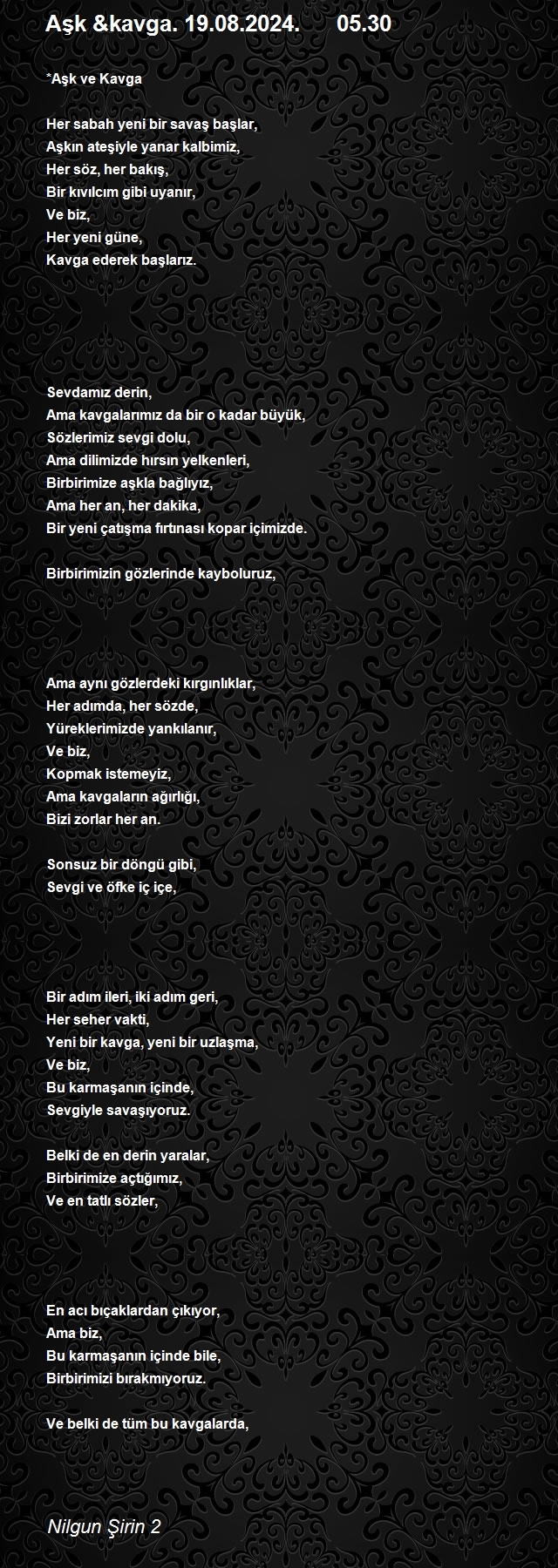 Nilgun Şirin 2