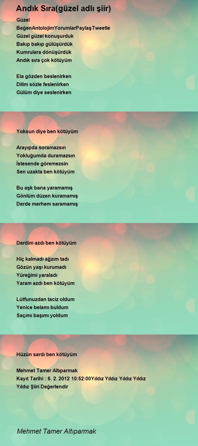Mehmet Tamer Altıparmak