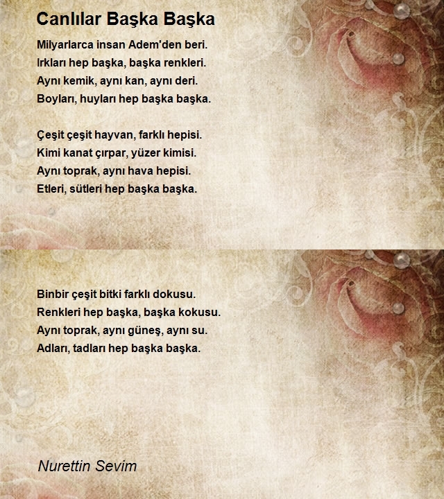 Nurettin Sevim