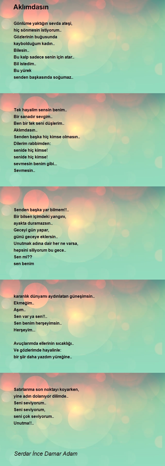 Serdar İnce Damar Adam