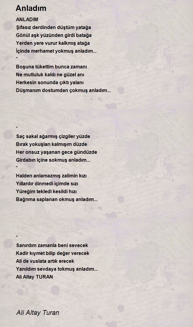 Ali Altay Turan