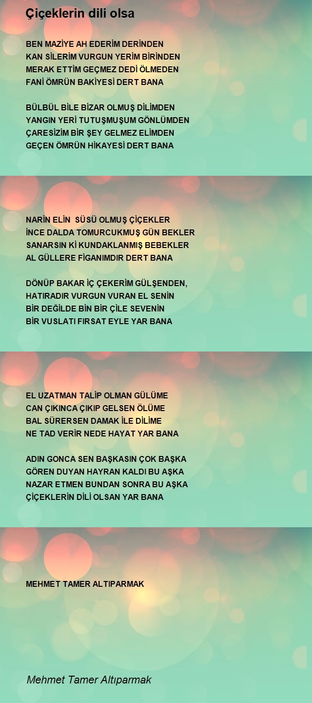 Mehmet Tamer Altıparmak