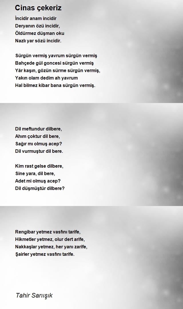 Tahir Sarıışık
