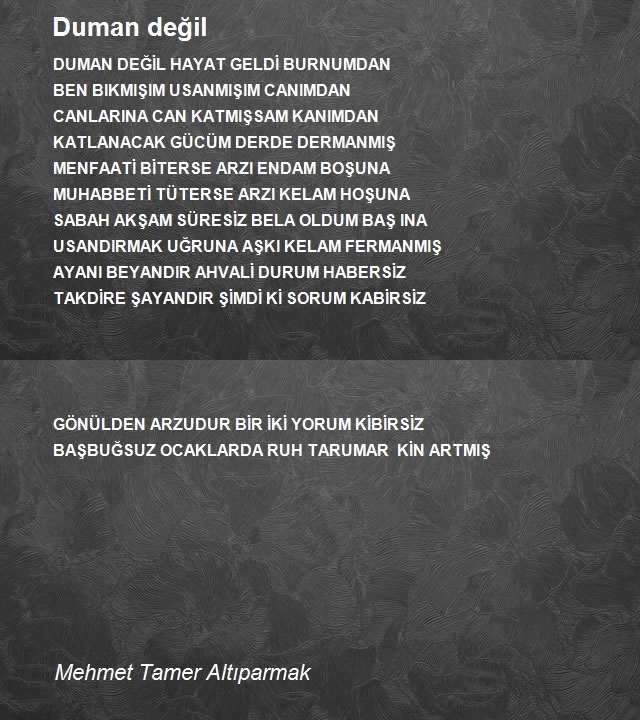 Mehmet Tamer Altıparmak