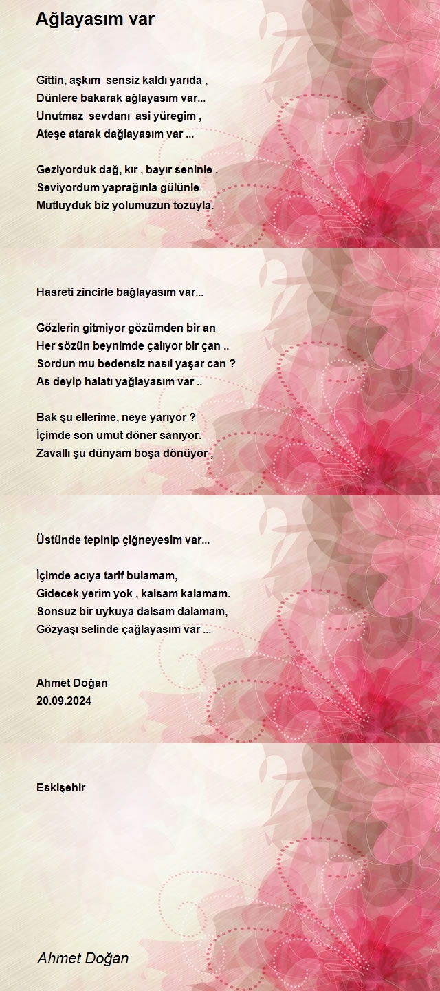 Ahmet Doğan