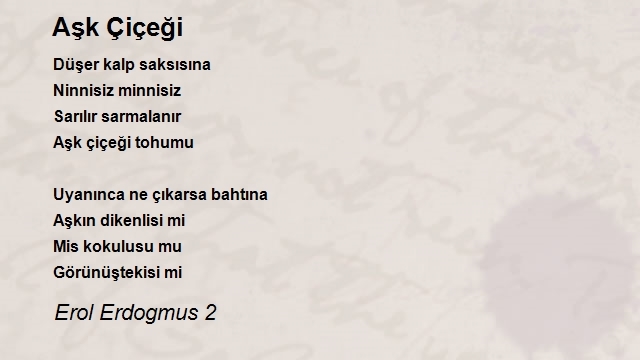 Erol Erdogmus 2