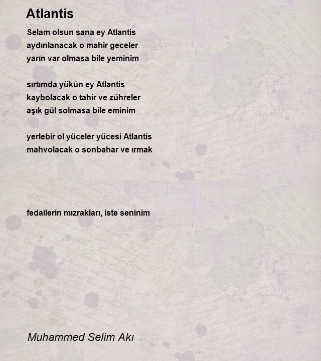 Muhammed Selim Akı