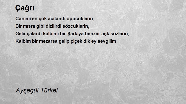 Ayşegül Türkel