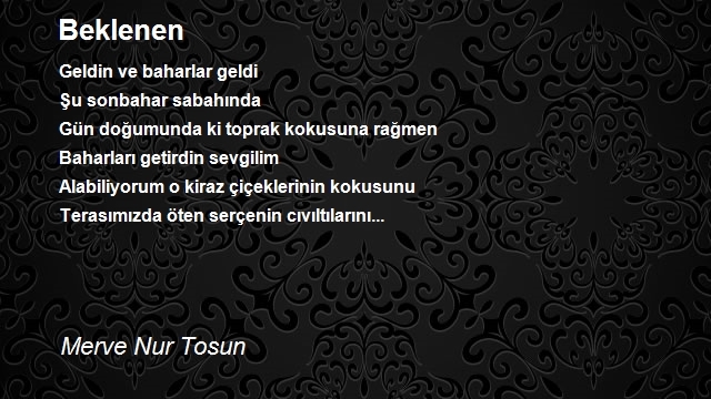 Merve Nur Tosun
