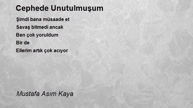 Mustafa Asım Kaya