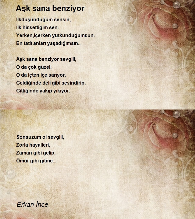 Erkan İnce
