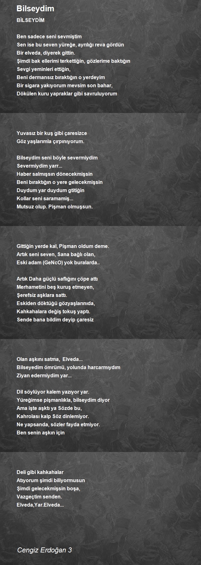 Cengiz Erdoğan 3