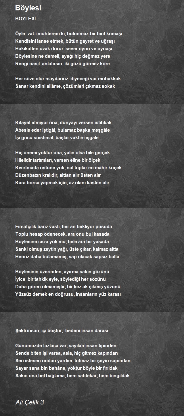 Ali Çelik 3
