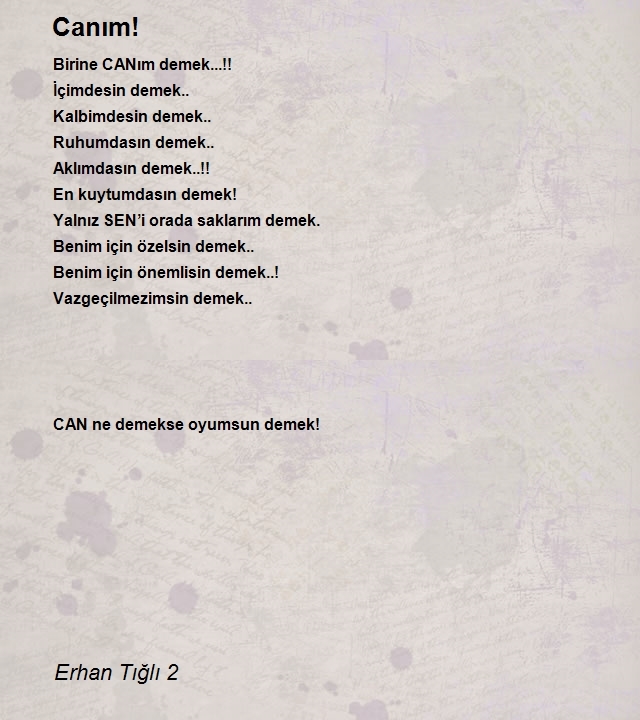 Erhan Tığlı 2