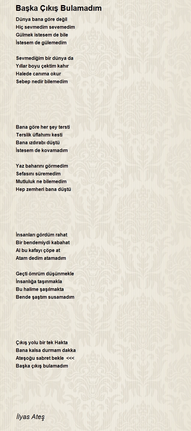 İlyas Ateş
