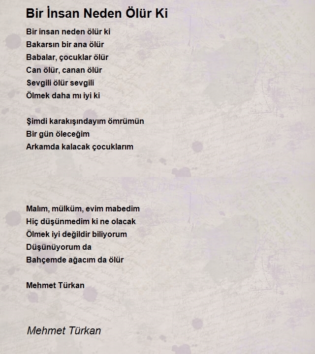 Mehmet Türkan