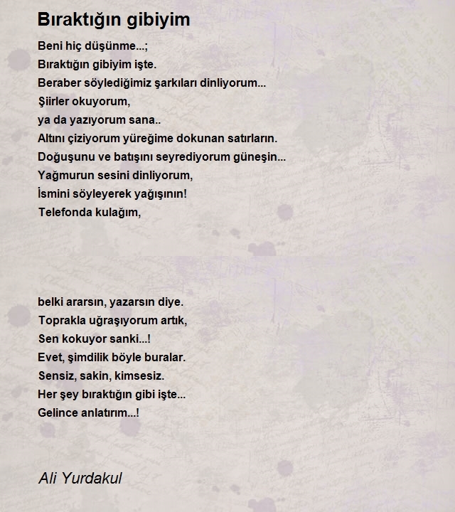 Ali Yurdakul