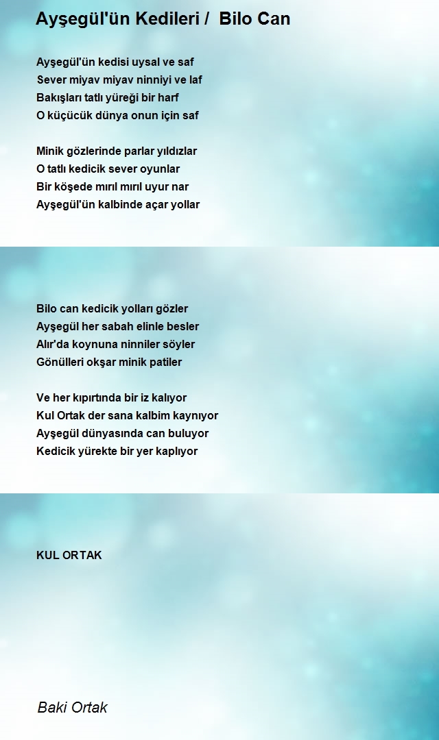 Baki Ortak